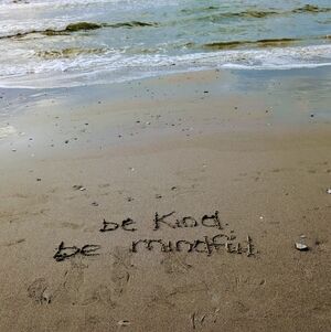 Clothing, Shoes, Purses, etc...